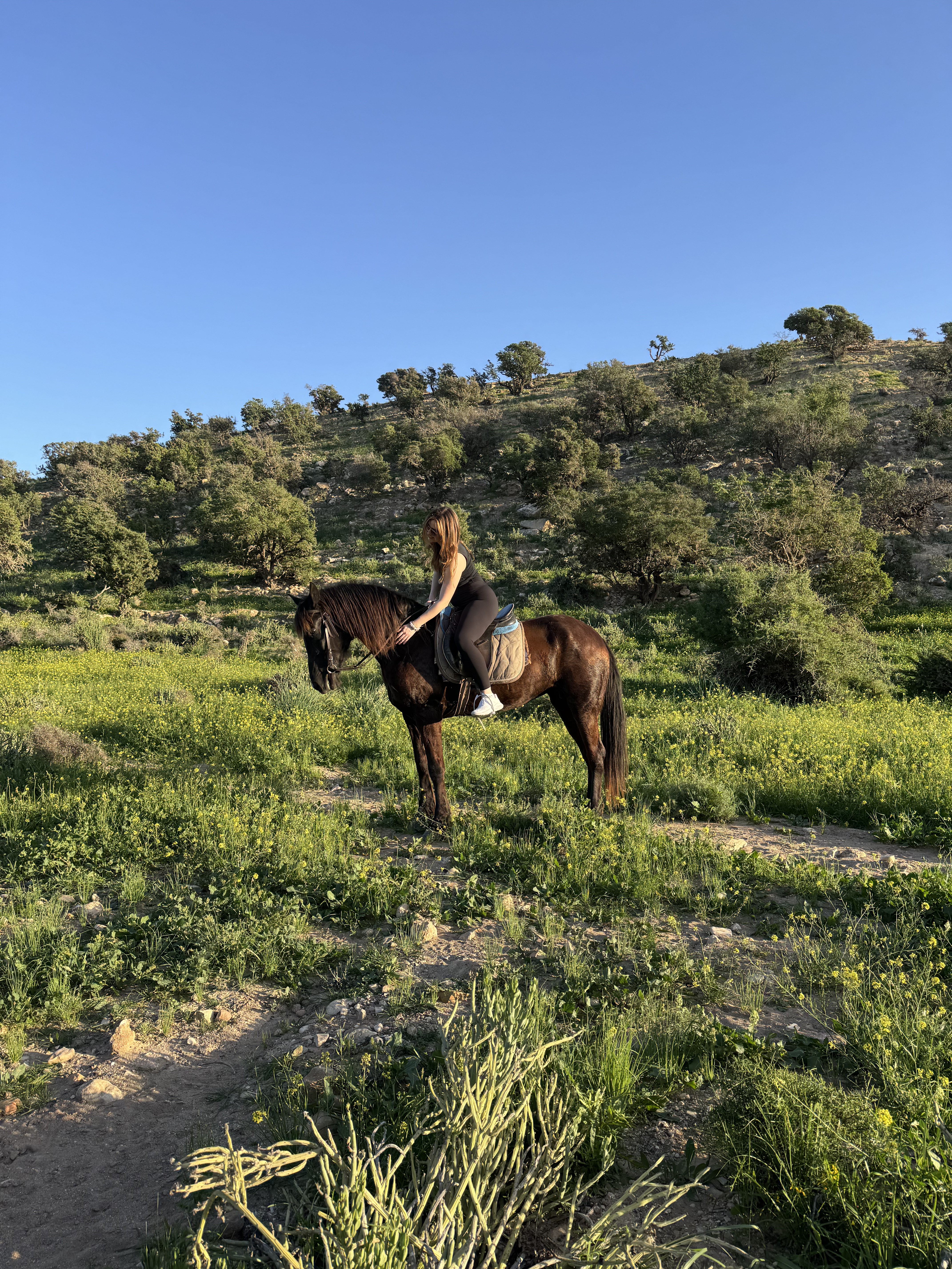 Two hour beach and mountain horse trail